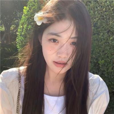 迷雾丛林
