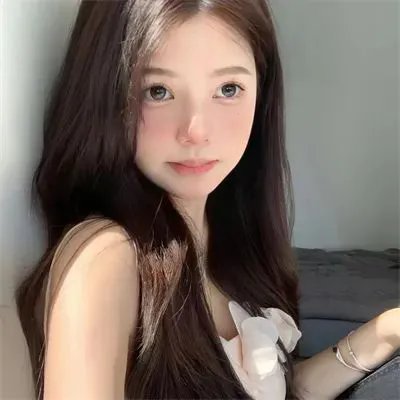 片警宝音