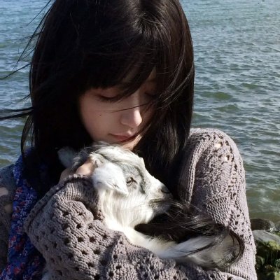 春光灿烂猪八戒2000